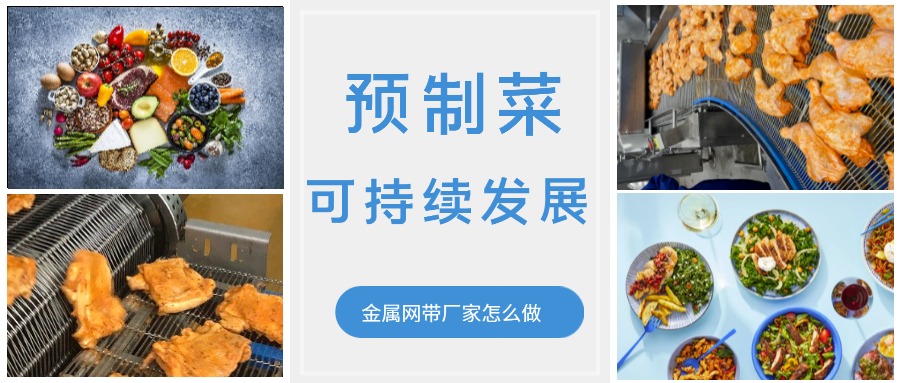 金屬輸送網帶的領頭企業，預制菜的可持續發展中能做什么？