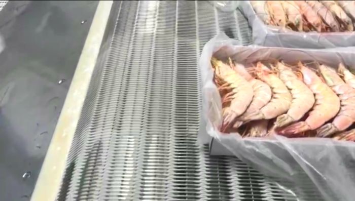 冷凍網帶 冷凍網帶